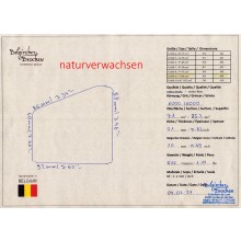 Belgischer Brocken 9, extra-fein naturverwachsen 71 cm²