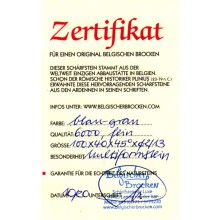 Echtheits-Zertifikat des Belgischen Brocken Multiformsteins